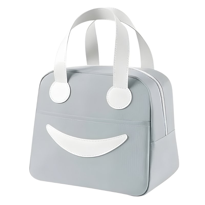 Insulated Lunch Bag Portable Food Storage Bag Waterproof Thermal Lunch Box Bag